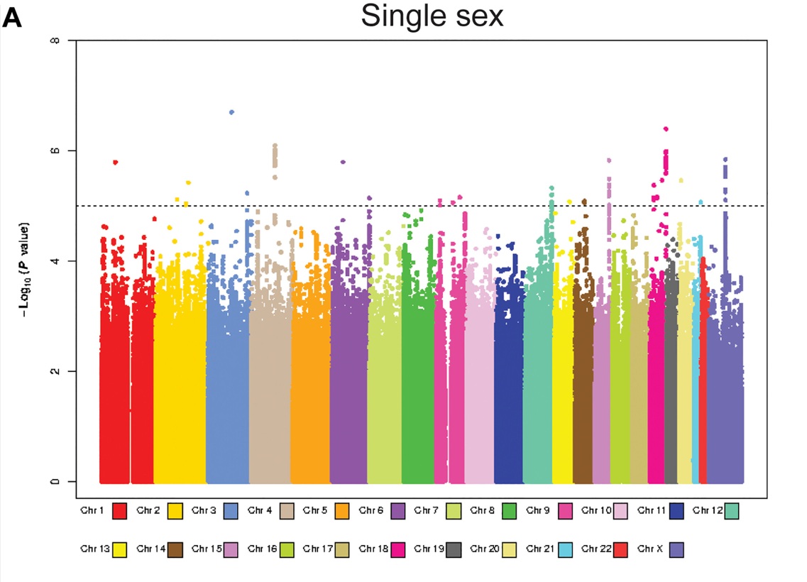 GWAS Manhattan plot showing maternal genetic hotspots